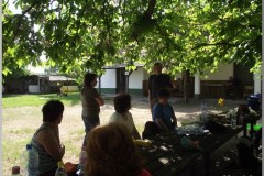 Madarak és Fák Napja 2011.