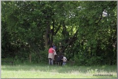 Madarak és Fák Napja 2011.