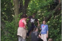 Madarak és Fák Napja 2011.