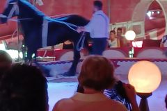 Nagykőrösi kirándulás