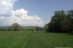dscf3553