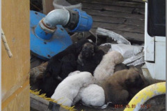 dscf4072
