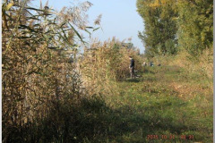 dscf4078