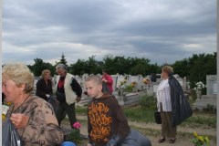 Parlagfű gyűjtés