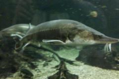 img_20170916_101250_4