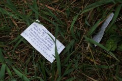 Szemétgyűjtés a Közútkezelővel közösen
