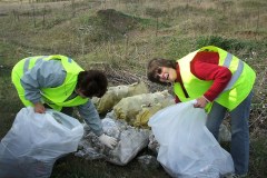 Szemétgyűjtés a Közútkezelővel közösen