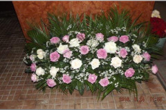 dscf5447