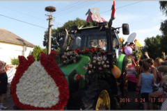 dscf5661