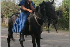 Szüreti felvonulás