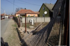Terepszemlén
