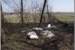 Terepszemlén