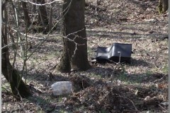 Terepszemlén