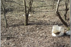 Terepszemlén