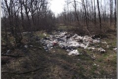 Terepszemlén
