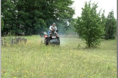 Tövestől tépjük ki!