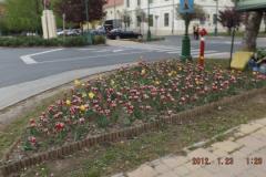 dscf7838