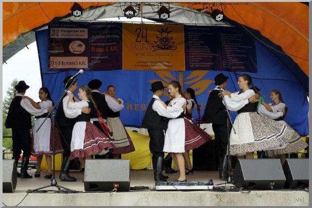 Falunap 2016