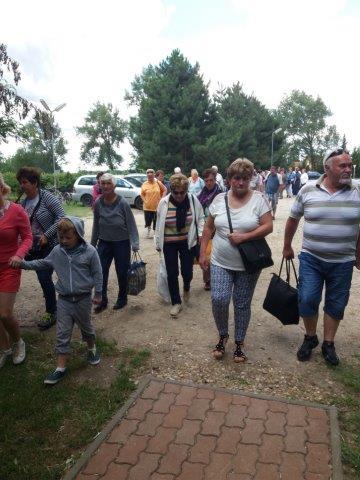 Kiskunmajsa levendulavirágzás