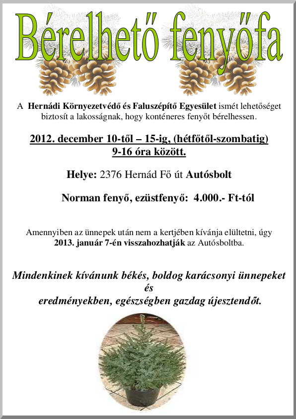 Bérelhető fenyőfa