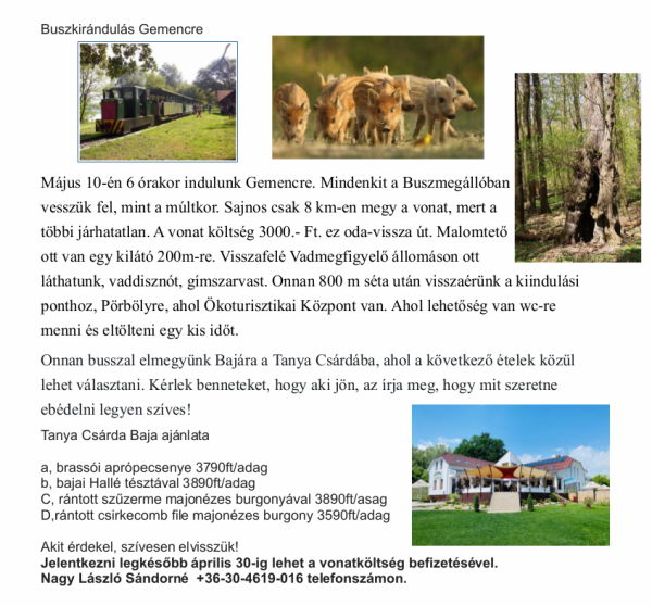 Buszkirándulás Gemencre
