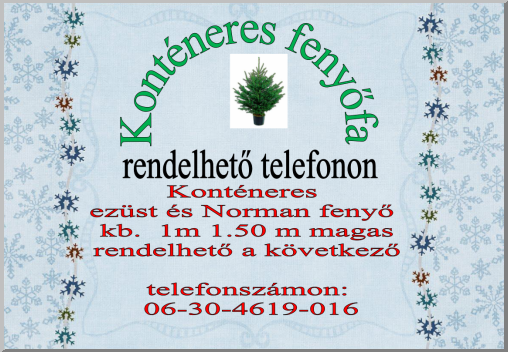 Konténeres fenyőfa