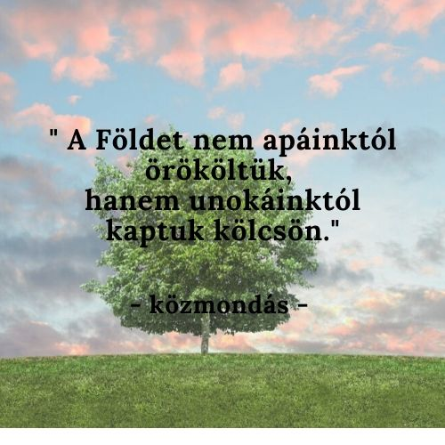 Veszélyeshulladék átvétel