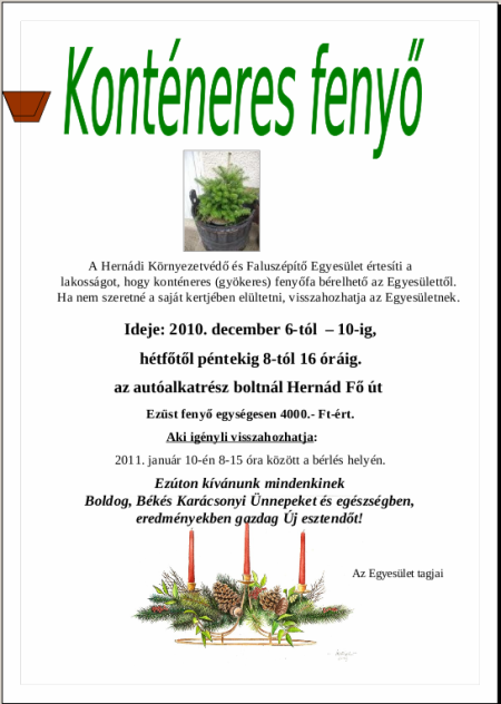 Konténeres fenyő