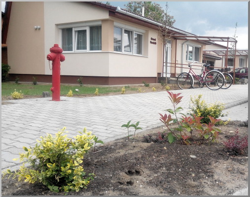 Parkosítás