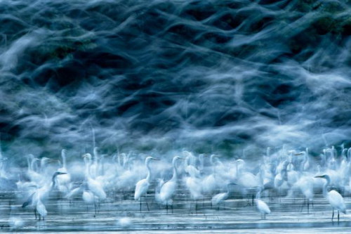 Magyar fotóst díjazott a National Geographic